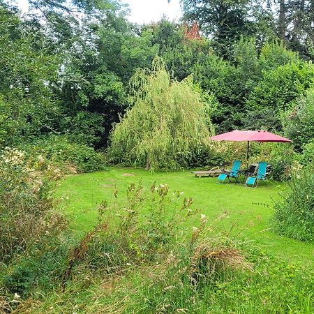 Beaworthy Kingsley Cottage - Beautiful Riverside Setting מראה חיצוני תמונה
