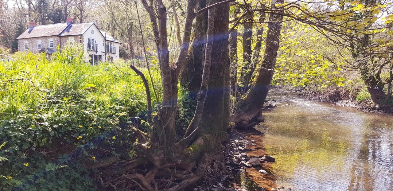 Beaworthy Kingsley Cottage - Beautiful Riverside Setting מראה חיצוני תמונה