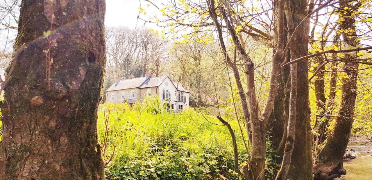 Beaworthy Kingsley Cottage - Beautiful Riverside Setting מראה חיצוני תמונה