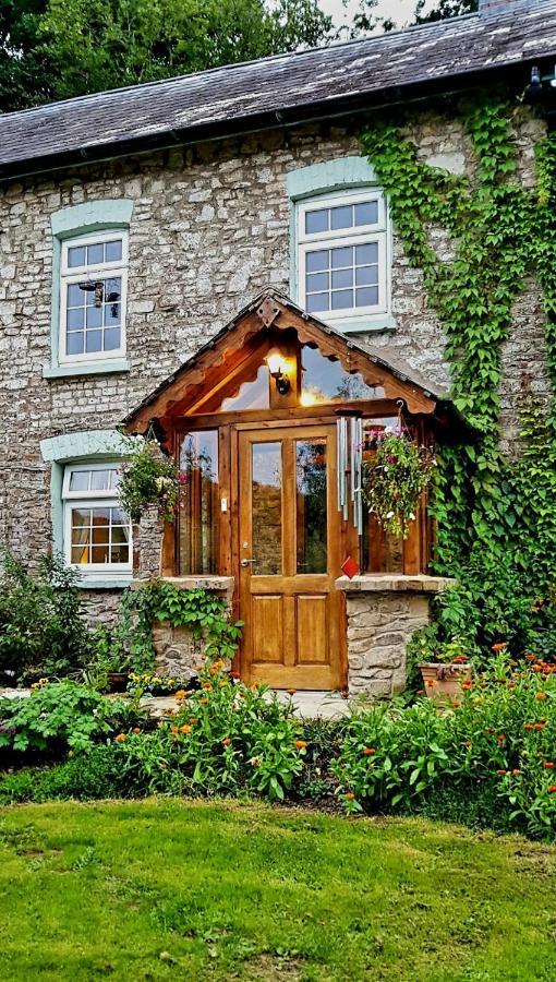 Beaworthy Kingsley Cottage - Beautiful Riverside Setting מראה חיצוני תמונה