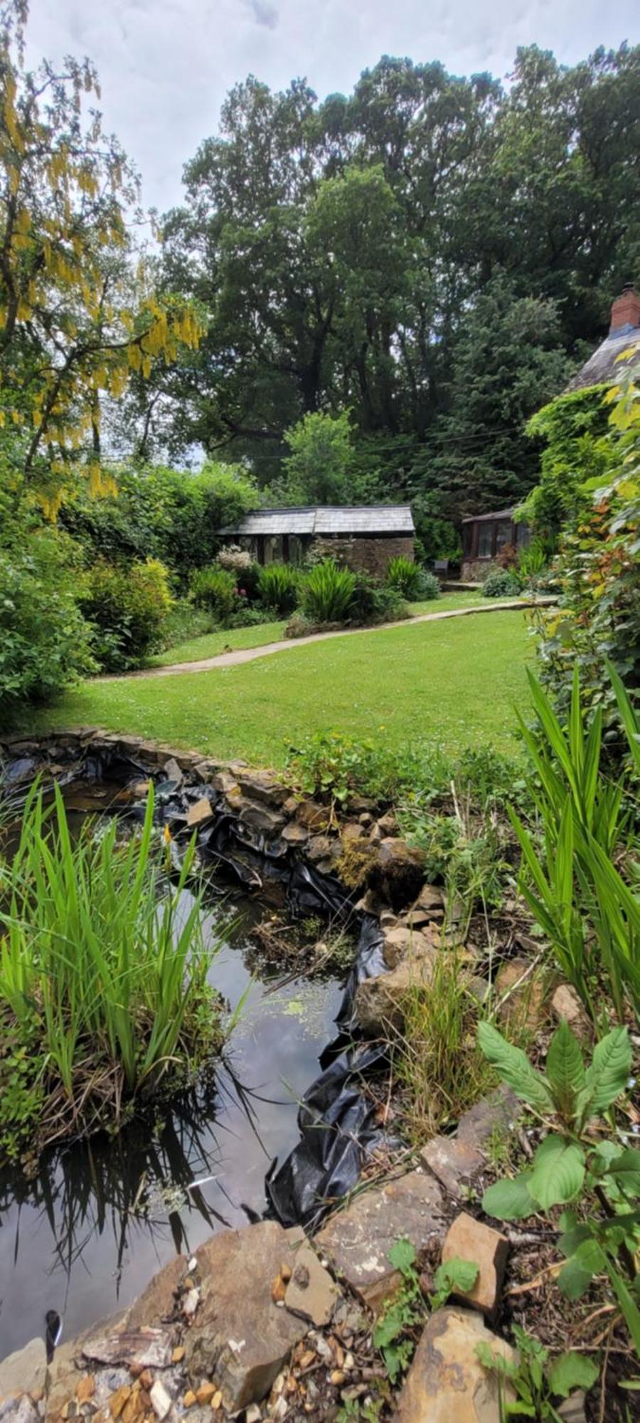 Beaworthy Kingsley Cottage - Beautiful Riverside Setting מראה חיצוני תמונה