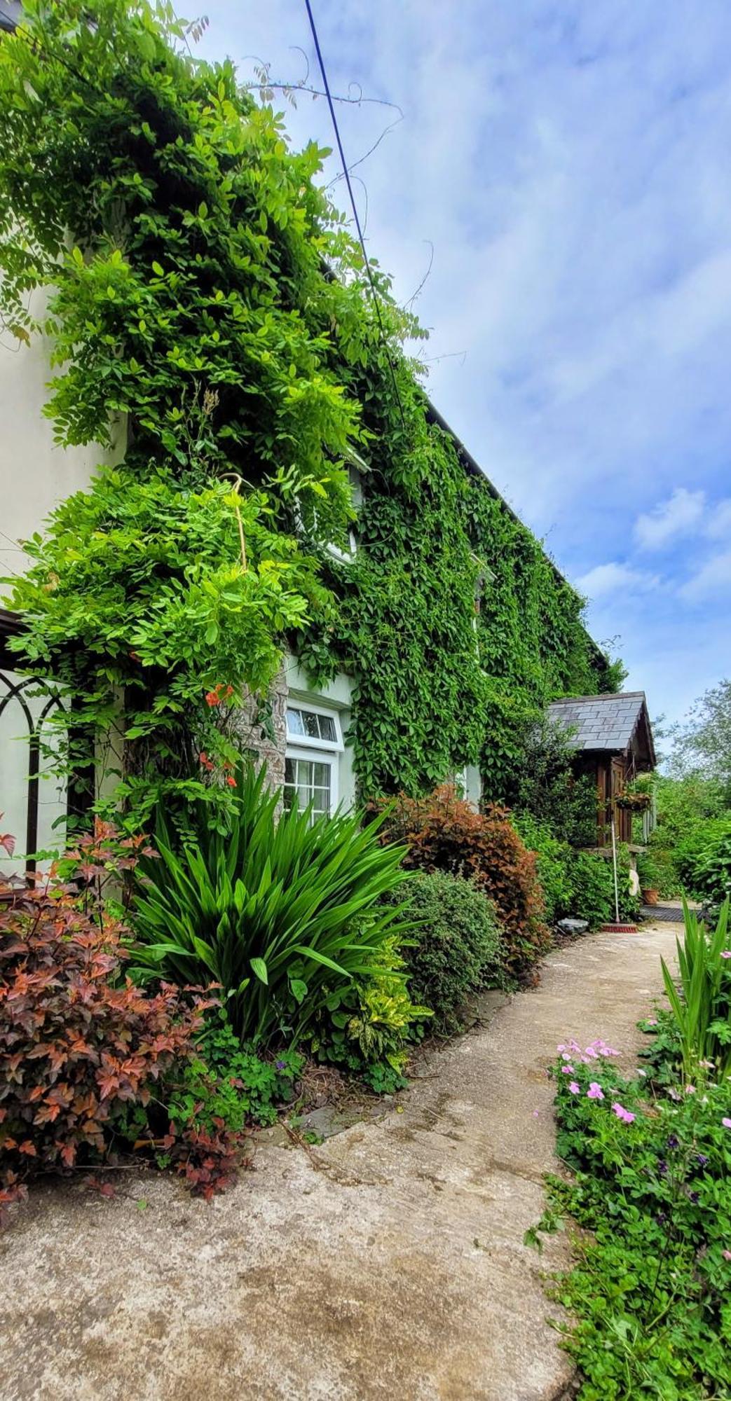 Beaworthy Kingsley Cottage - Beautiful Riverside Setting מראה חיצוני תמונה
