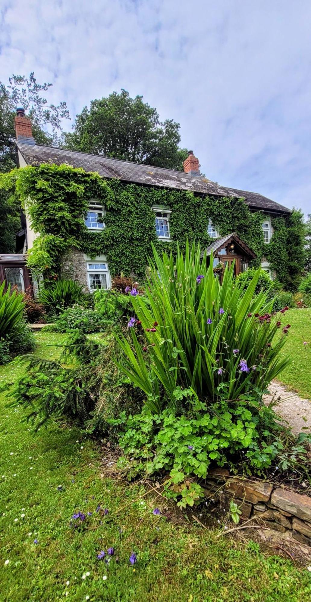 Beaworthy Kingsley Cottage - Beautiful Riverside Setting מראה חיצוני תמונה
