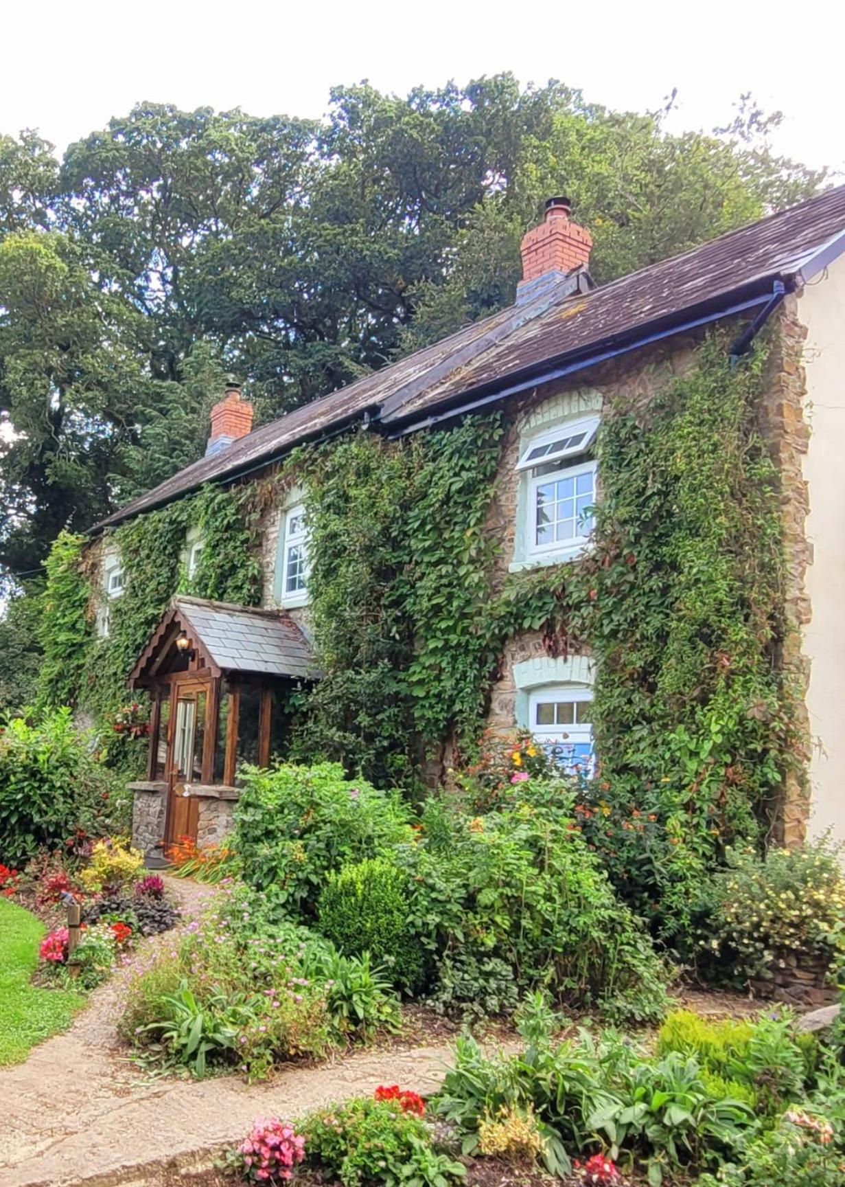 Beaworthy Kingsley Cottage - Beautiful Riverside Setting מראה חיצוני תמונה