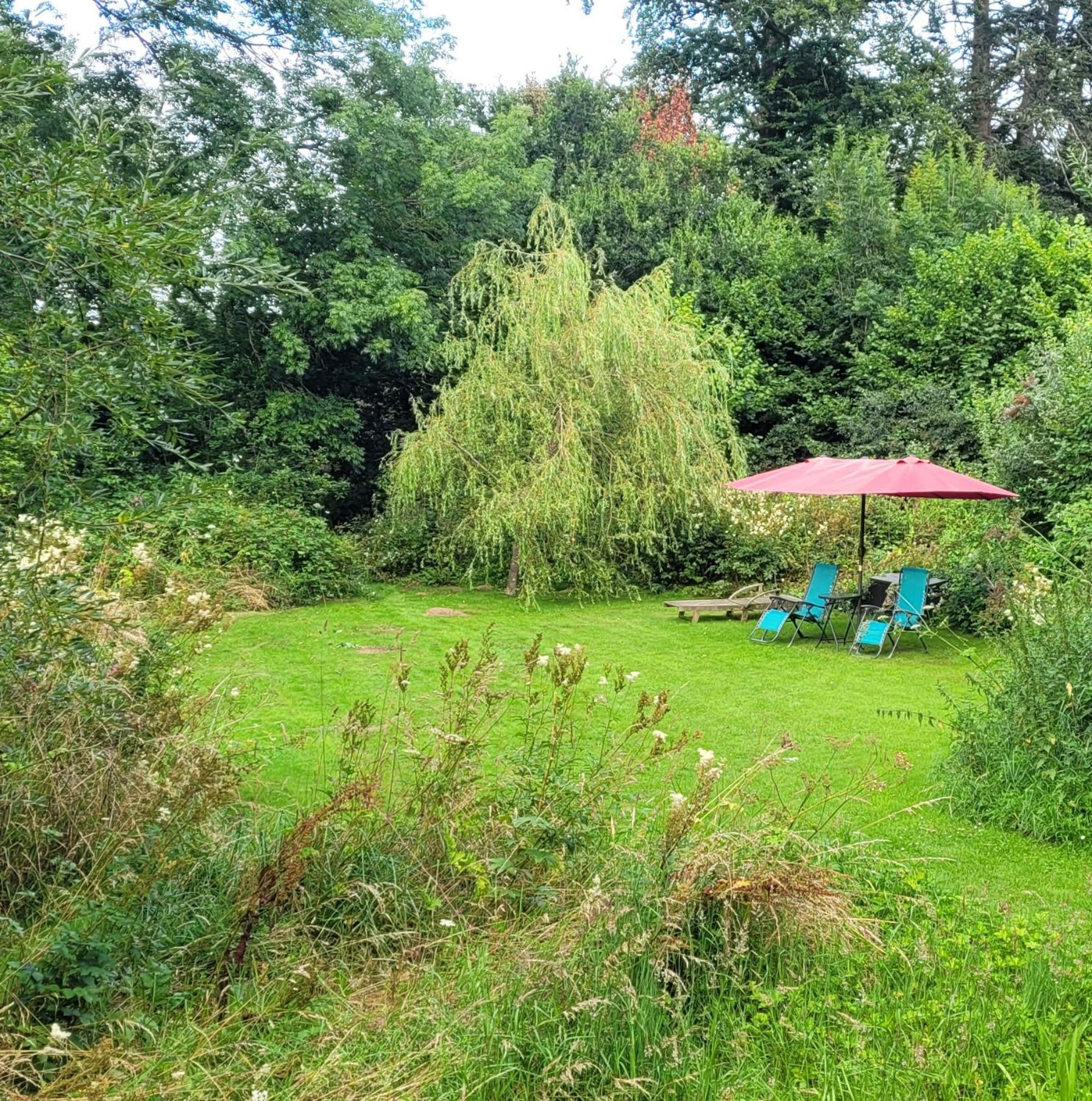 Beaworthy Kingsley Cottage - Beautiful Riverside Setting מראה חיצוני תמונה
